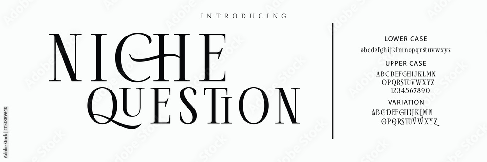 Luxury serif font in modern style. Elegant wedding alphabet letters font and number. Typography Luxury classic lettering serif fonts decorative vintage retro logo Luxury serif font in modern style. Elegant wedding alphabet letters font and number. Typography Luxury classic lettering serif fonts decorative vintage retro logo