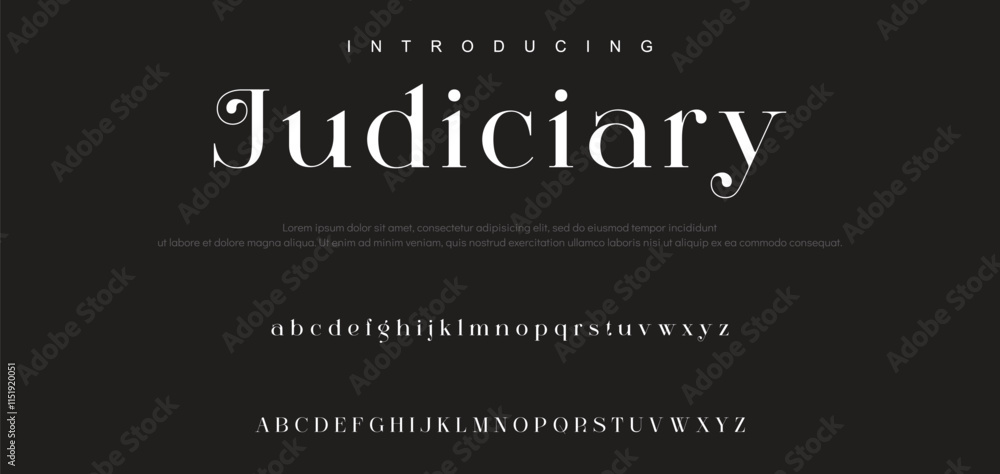 Luxury serif font in modern style. Elegant wedding alphabet letters font and number. Typography Luxury classic lettering serif fonts decorative vintage retro logo Luxury serif font in modern style. Elegant wedding alphabet letters font and number. Typography Luxury classic lettering serif fonts decorative vintage retro logo