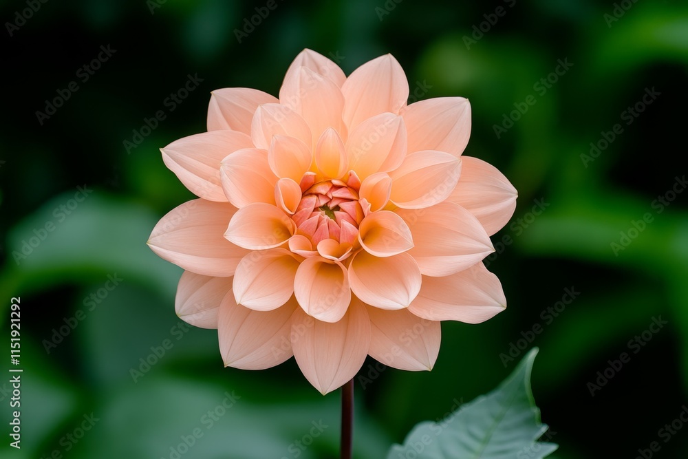 A vibrant garden filled with blooming flowers of various colors, symbolizing natural growth and flourishing life A vibrant garden filled with blooming flowers of various colors, symbolizing natural growth and flourishing life