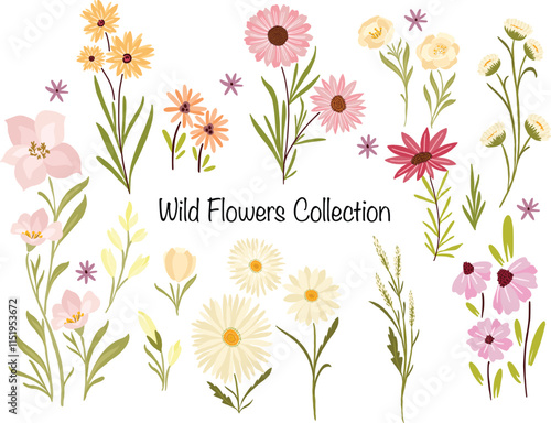 Beautiful Small Wild Flowers Bunch Collection