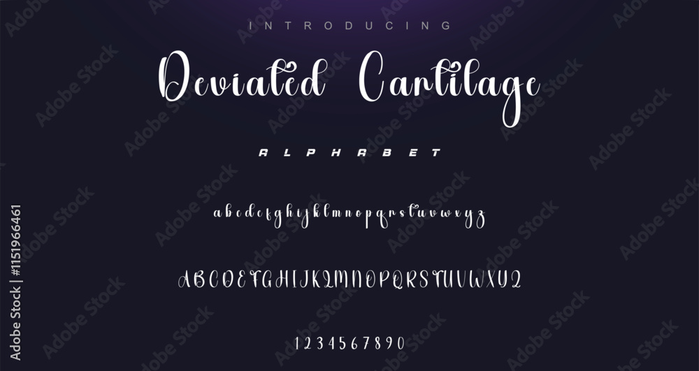 Hand drawn vector alphabet. Modern monoline signature script font. Elegant Signature Font. Best Alphabet Beautiful Calligraphy Signature Font lettering Hand drawn vector alphabet. Modern monoline signature script font. Elegant Signature Font. Best Alphabet Beautiful Calligraphy Signature Font lettering