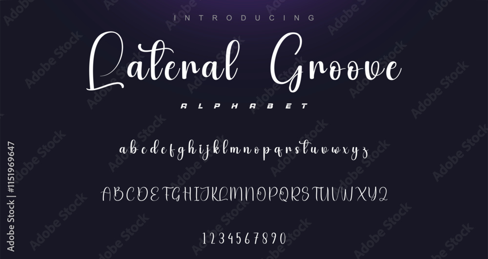 Hand drawn vector alphabet. Modern monoline signature script font. Elegant Signature Font. Best Alphabet Beautiful Calligraphy Signature Font lettering Hand drawn vector alphabet. Modern monoline signature script font. Elegant Signature Font. Best Alphabet Beautiful Calligraphy Signature Font lettering
