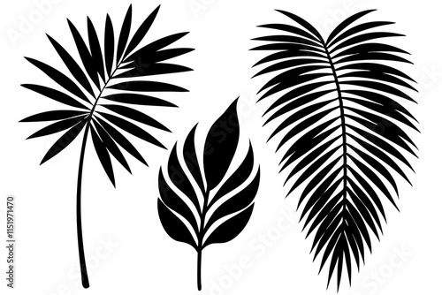 palm leaves silhouette design.