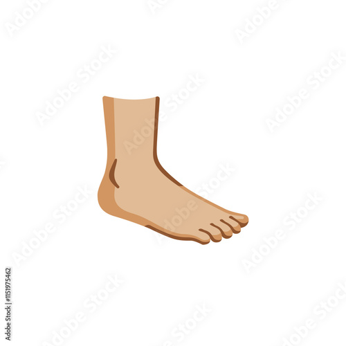Foot