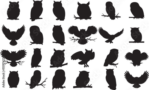 Owl Silhouettes Collection