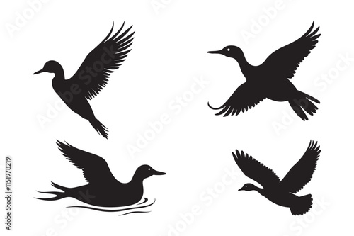 Black Duck Silhouettes Vector for Clipart and Decorative Design