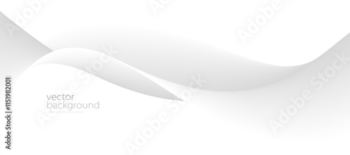 Curve shape flow vector abstract background in light grey gradient, dynamic and speed concept, futuristic technology or motion art.