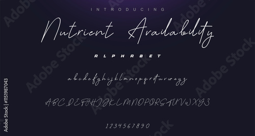 signature Font Calligraphy Logotype Script Brush Font Type Font lettering handwritten