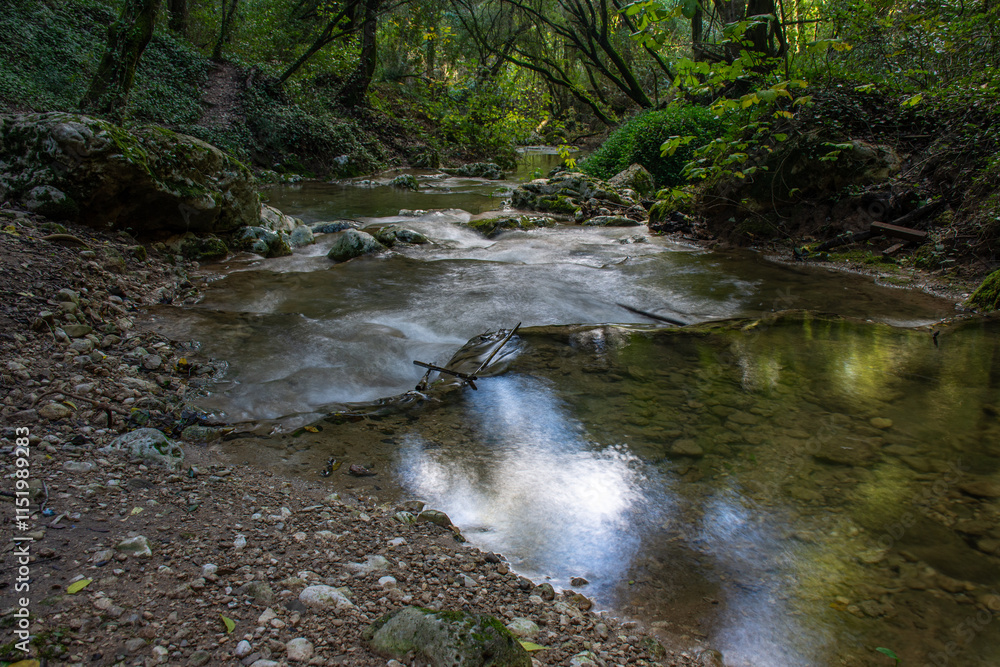 Serene forest stream flowing over rocks and pebbles, sunlight dappling the water's surface. Serene forest stream flowing over rocks and pebbles, sunlight dappling the water's surface.