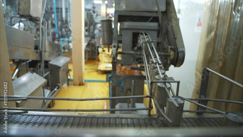 Process and production line in canned fish factory