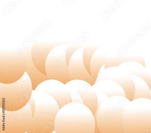 eggs and chicken eggs