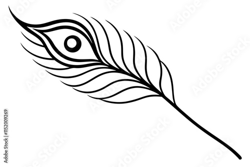  a exotic peacock feather design line art