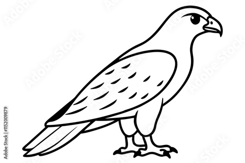  a red tailed hawk line art vector illustration