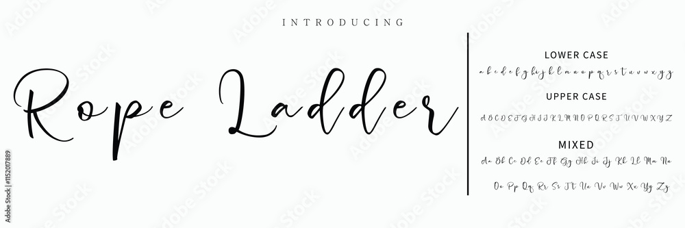 Hand drawn vector alphabet. Modern monoline signature script font. Elegant Signature Font. Best Alphabet Beautiful Calligraphy Signature Font lettering Hand drawn vector alphabet. Modern monoline signature script font. Elegant Signature Font. Best Alphabet Beautiful Calligraphy Signature Font lettering