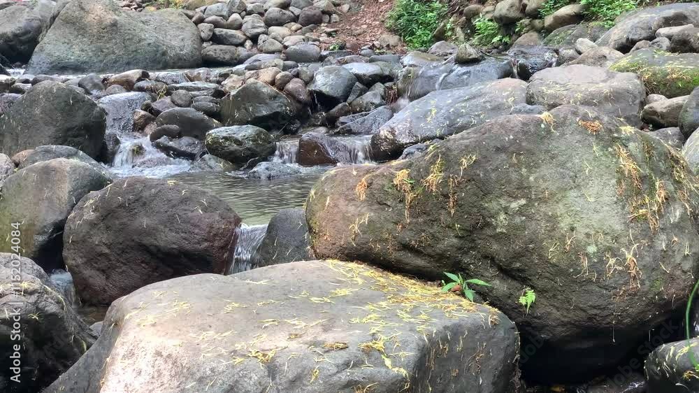 Rocks in a stream with water flowing gently over them, surrounded by lush greenery. Rocks in a stream with water flowing gently over them, surrounded by lush greenery.