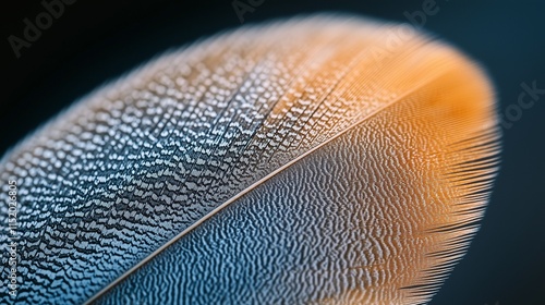 A close-up of a bird's feather texture, vibrant and detailed 