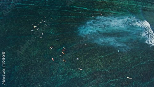 Wallpaper Mural Surfers in clear transparent ocean waiting waves. Aerial view with surfing on wave. Torontodigital.ca