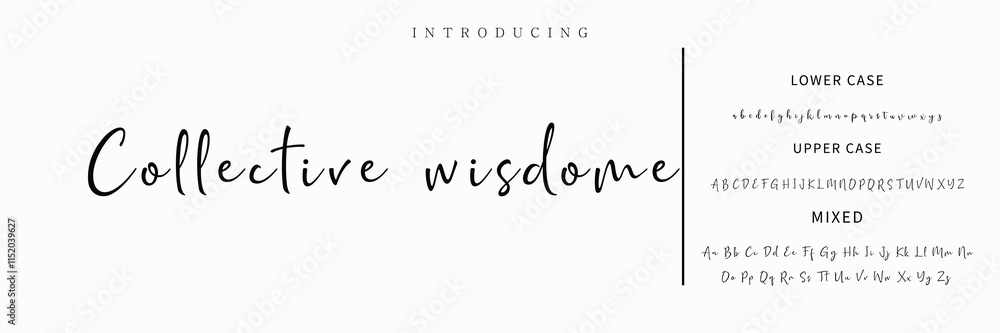 Fototapeta premium Signature Font Calligraphy Logotype Script Font Type Font lettering handwritten.