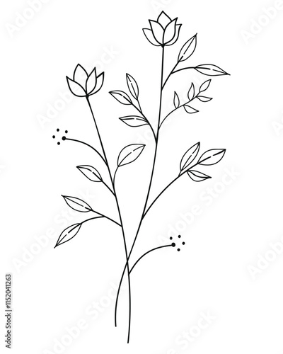 Hand-Drawn Twigs with Leaves in a Botanical Style.Vector illustration