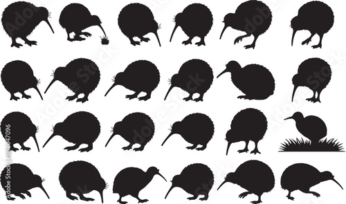 Kiwi Silhouette Collection