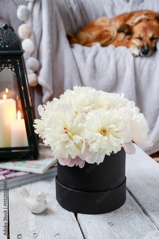 Bouquet of pink peonies on the table. Beautiful dog sleeping in the background.