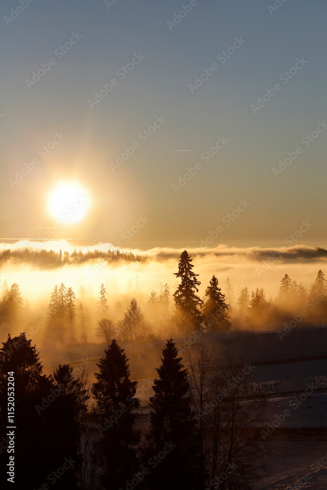 Fog over the mountain ranges and forests in the morning.