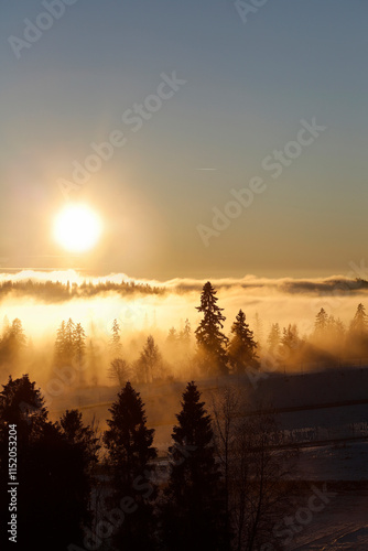 Obraz na płótnie Fog over the mountain ranges and forests in the morning. w salonie
