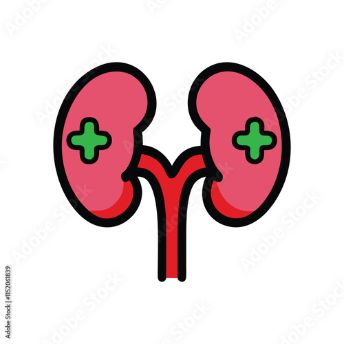 Medical Illustration of Human Kidneys with Healthcare Symbol