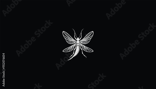 Black and White Mayfly Illustration