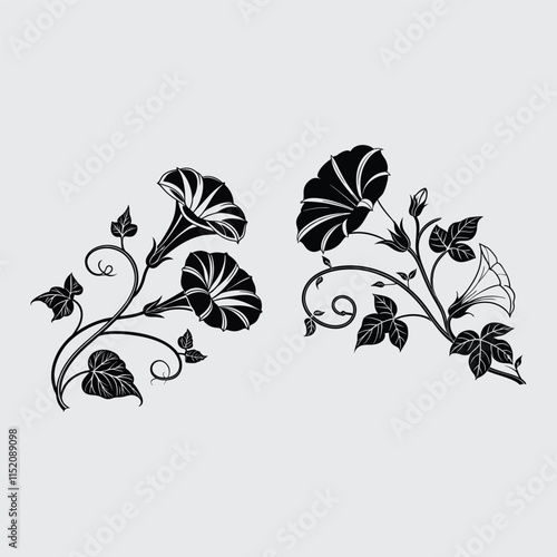 Morning glory   image silhouette vector art and illustration