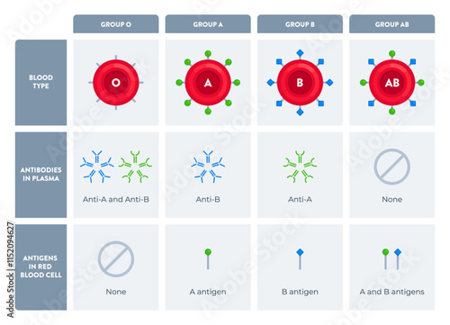 Chart of O, A, B, AB blood group types with antibodies and antigen markers. Science, biology, healthcare, hematology, blood donation concept. Flat vector illustration isolated on white background