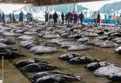 Canvas Print Tuna fish lined-up on the wet floor for auction in the fish market in Kii-Katsuura, Wakayama Prefecture, Japan