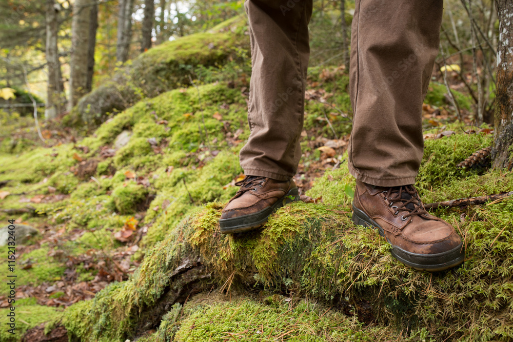 Hiking in the mossy forest in the adirondacks new york Hiking in the mossy forest in the adirondacks new york