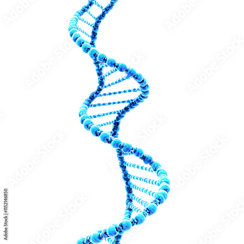 3D model of DNA helix isolated on transparent background