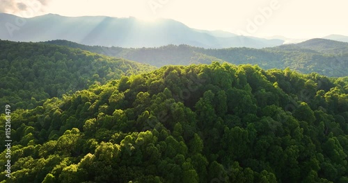 Bright sunset in Smokey Mountains summer woods. Appalachian mountains in North Carolina with fresh green forest trees in summertime season. Beauty of USA nature