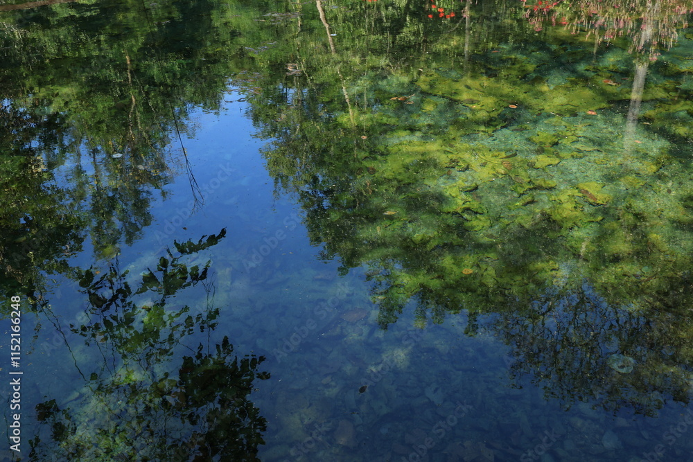 Nong Ya Plong Hot Springs ,
physically consists of warm springs found between a public land and National Forest. 
Yellow-green algae are found in the hot springs.
 Phetchaburi province ,Thailand 