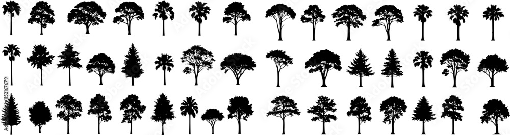 silhouette tree line drawing set, Side view, set of graphics trees elements outline symbol for architecture and landscape design drawing. Vector illustration in stroke fill in white. Tropical