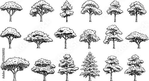 silhouette tree line drawing set, Side view, set of graphics trees elements outline symbol for architecture and landscape design drawing. Vector illustration in stroke fill in white. Tropical