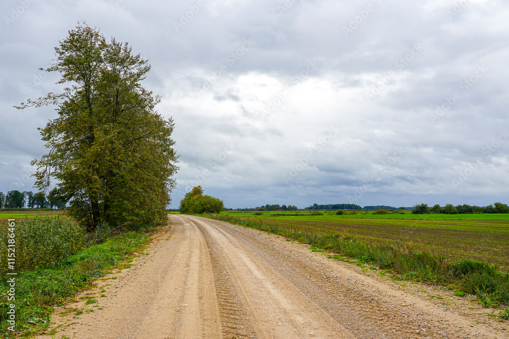Wide gravel road between green fields in a rural area, perspective view, cloudy sky, tire tracks Wide gravel road between green fields in a rural area, perspective view, cloudy sky, tire tracks