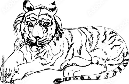 Abstract line art sketch of a laying tiger. Ideal for wildlife and nature projects, digital art, greeting cards, minimalist line drawing captures the beauty and strength of the tiger.