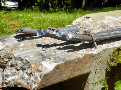 Wallpaper Mural End of an electricity pylon that had been sawn to facilitate removal, detailing the reinforcing steel rods inside the concrete
 Torontodigital.ca