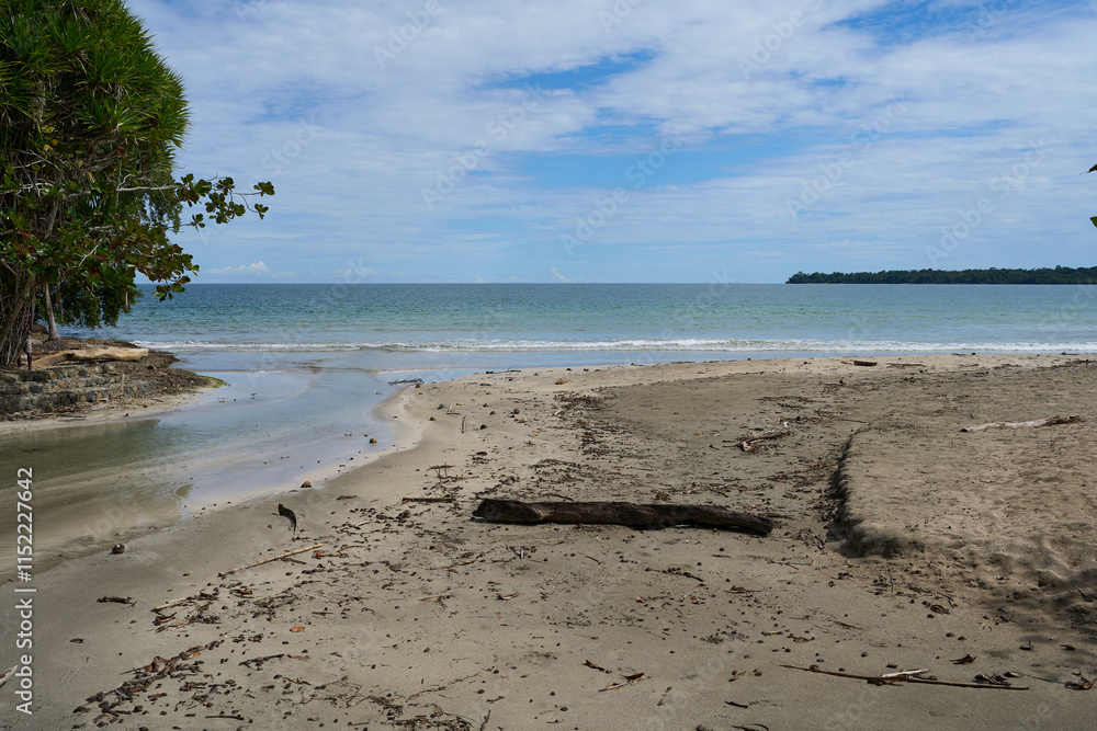 Fototapeta premium Cahuita, Costa Rica - November 16, 2024 - the Cahuita National Park - beach, forest and colorful marine life