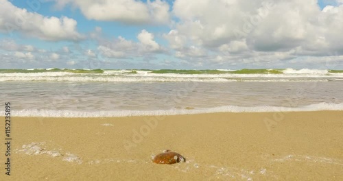 Waves at beach in summer with clouds in the sky.