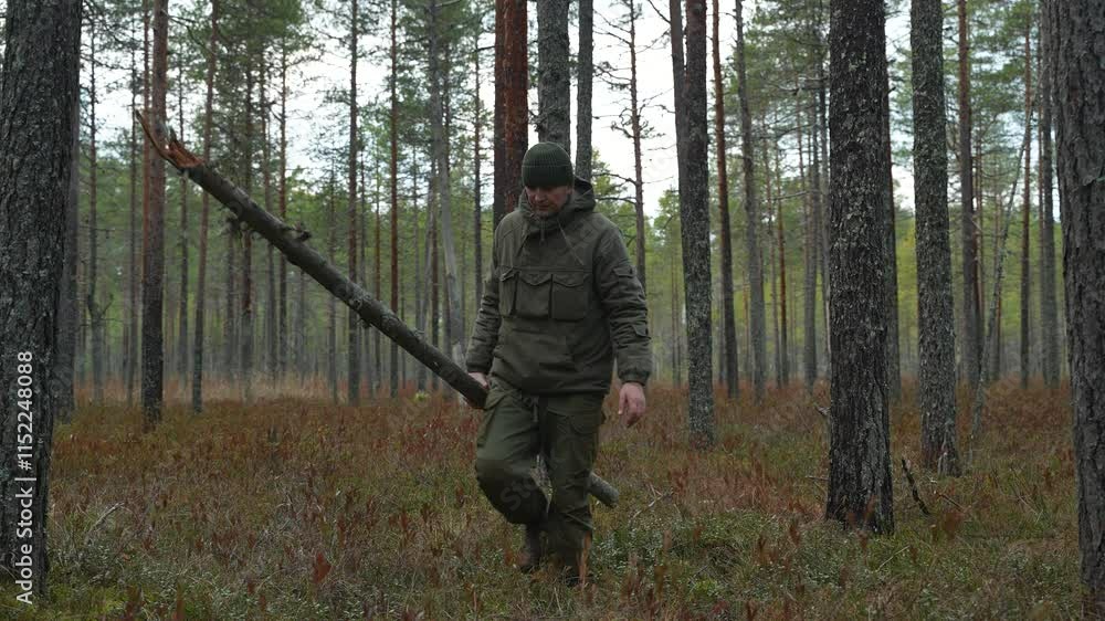 A man carries a tree trunk for firewood. Searching for firewood in the forest for a fire. bushcraft and wilderness survival concept. A man carries a tree trunk for firewood. Searching for firewood in the forest for a fire. bushcraft and wilderness survival concept.