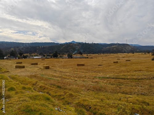 landscape in the mountains