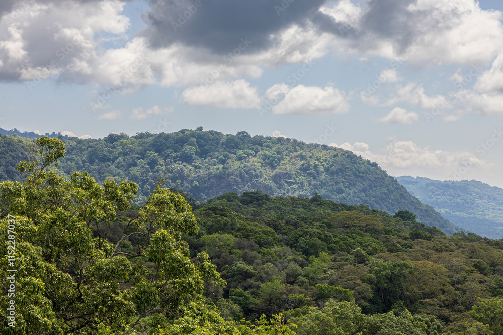 Fototapeta premium Forest mountain landscape of Arusha National Park in Tanzania East Africa