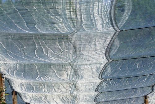 closeup on a clear net protection above the apple orchard in france