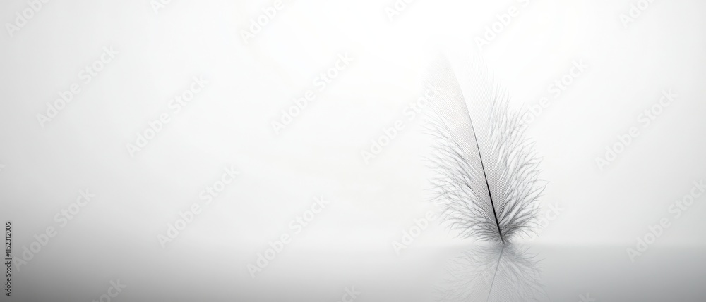 a white feather on a gray surface a white feather on a gray surface