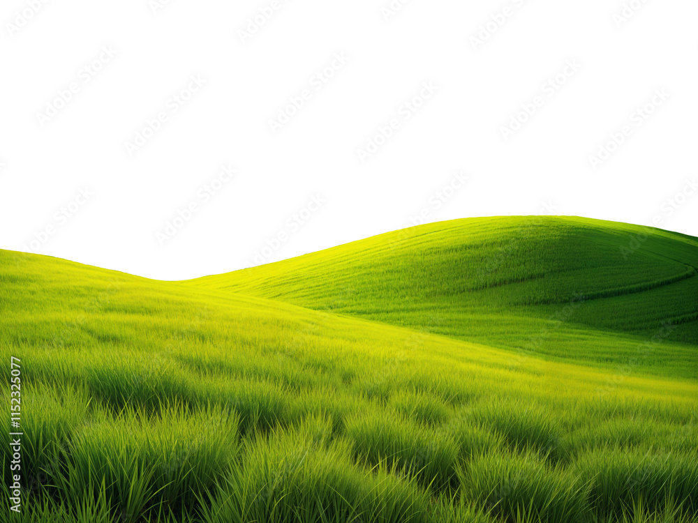 green grassland landscape cut out isolated on or transparent background green grassland landscape cut out isolated on or transparent background