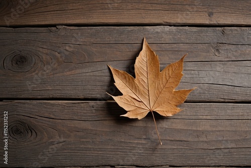 arafed leaf on a wooden surface with a dark background photo